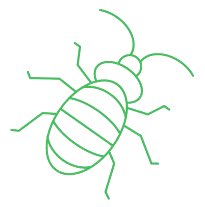 cafard blatte Erapure